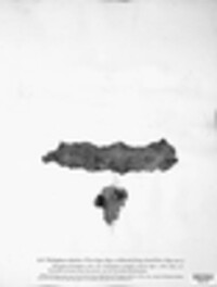 Hydnoporia tabacina image